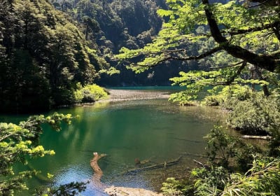 Parque Nacional Huerquehue 2