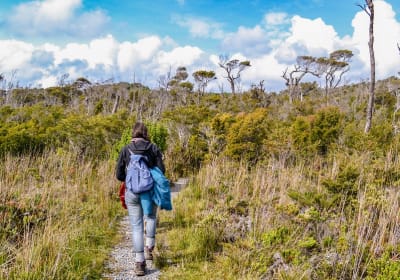 Parque Nacional Chiloé 2