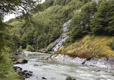 Reserva Nacional Río Simpson 2