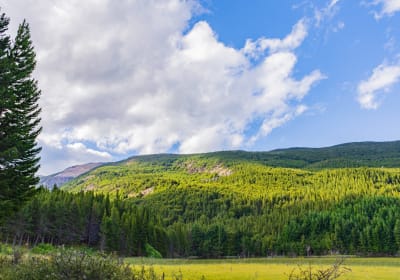 Reserva Nacional Coyhaique 2