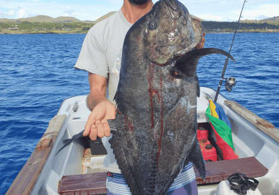 Tour de Pesca Deportiva en Rapa Nui: Atún, Mahi Mahi y más 2
