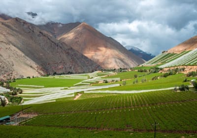 Tour Pisco Elqui: Naturaleza, Relajo y Descubrimiento 2