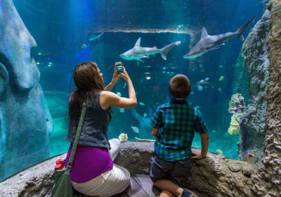 Go City Orlando Explorer Pass: Tickets for 2-5 Attractions 2