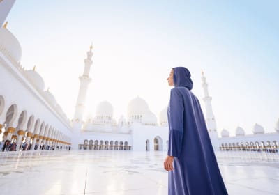 Abu Dhabi Experience - From Dubai (Dubai, AE) 2