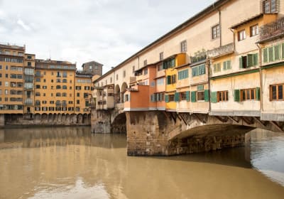 Florence Walking & Accademia Gallery Tour (Florence, IT) 2