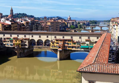 Medici’s Mile Guided  Tour w/ Pitti Palace & Boboli Gardens Ticket (Florence, IT) 2