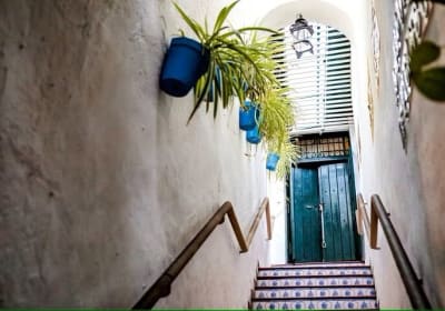 Gibralfaro and Alcazaba Walking Tour Malaga 2