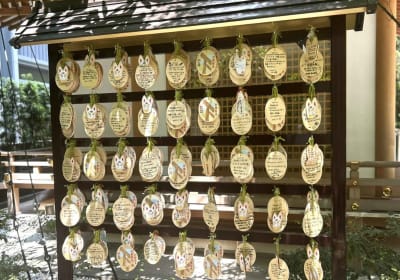 Flavors of Japan Food Tour 2