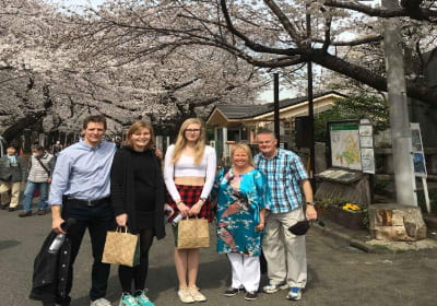 Daytime Hanami (Cherry Blossom Time) with a Local 2