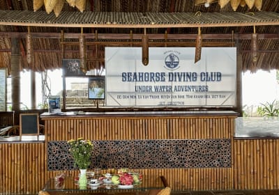 Dive Package 2