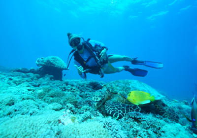 PADI Discover Scuba Diving 1 dive Sanur 2