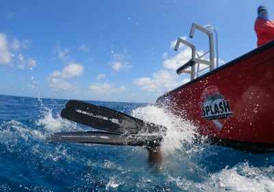 No Experience? No Problem! Try Scuba Diving in Belize! 2
