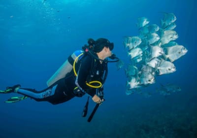 Full-Day Dive Trip to Silk Caye 2