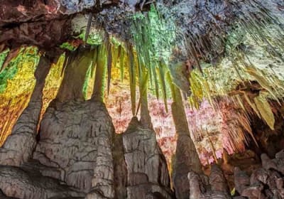 Dinosaurland & Caves dels Hams: Combo Ticket 2