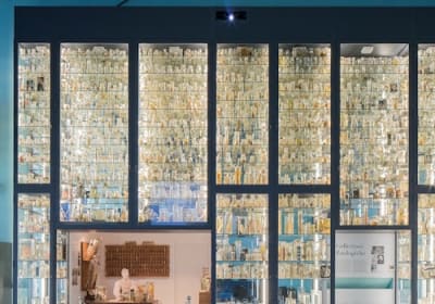 Museum Darwin-Dohrn 2