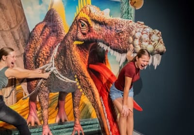 3D TrickArt Museum Berlin: Entry Ticket 2