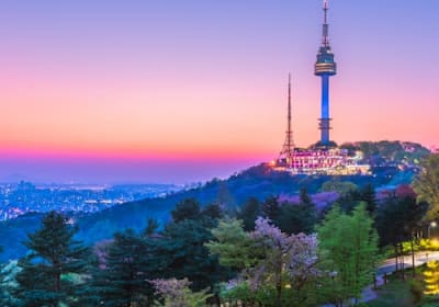 N Seoul Tower Observatory: Admission with Lotte Duty Free Discount Voucher 2