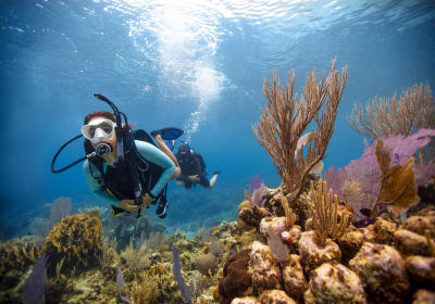 2 Tank Guided House Reef Dive 2