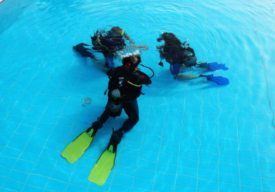 Open Water Diver 2