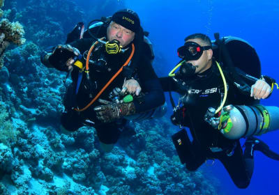 2 Dives by Boat or by Shore 2
