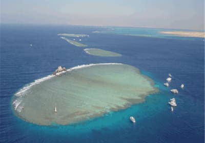 4 Dives by Boat or by Shore 2
