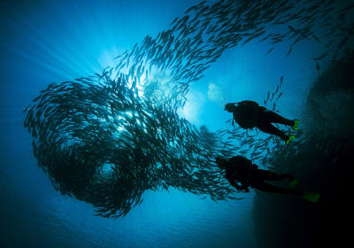 Discover Scuba Diving 2