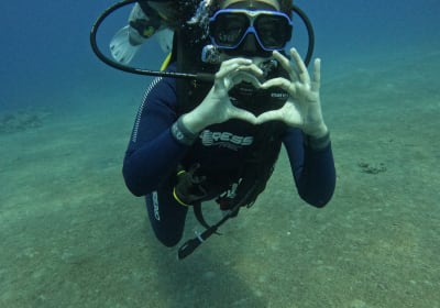 Dive Package - 4 dives 2