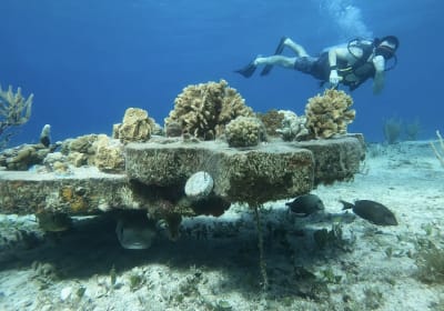Discover Scuba Diving from Tikila Beach 2