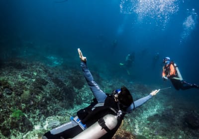 Full-Day Penida Dives Adventure 2