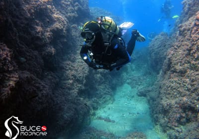 Half-Day Dive Trip 2