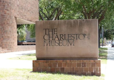 City Bus Tour with Charleston Museum Admission 2
