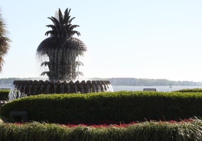 90-Minute Charleston City Sightseeing Bus Tour  2