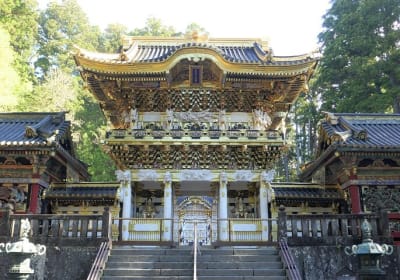 1 Day Nikko Walking Tour, Toshogu and Kanmangafuchi from Tokyo 2