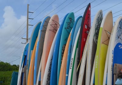 Key West Stand Up Paddleboard Rental  2