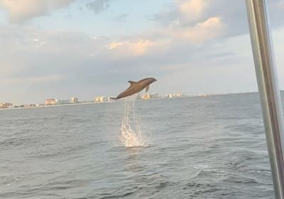 Destin Harbor Sunset Eco Dolphin Cruise 2