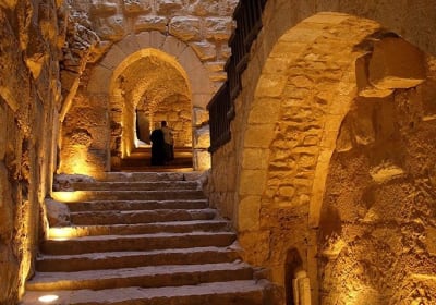 Private Tour to Jerash and Ajloun from Amman 2