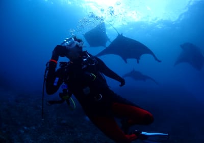 Full-Day Dive Trip Nusa Penida 2