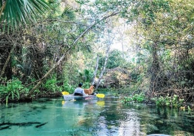 Rock Springs 2-Hour Glass Bottom Guided Kayak Eco Tour 2