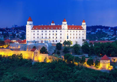 Bratislava and Budapest Small-Group Day Trip from Vienna 2