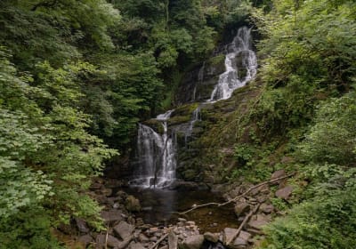 Private Ring of Kerry Luxury Tour with a Top-Rated Local Guide 2