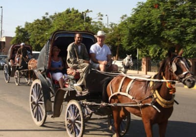  Aswan City tour on Horse Carriage  2