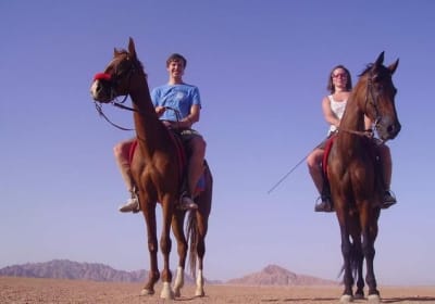 Adventure Safari By Horse In Dahab At Laguna Beach 2