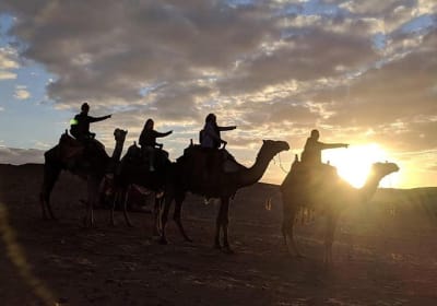 Private Tour With Camel Ride During The Sunset  With Barbecue Dinner 2