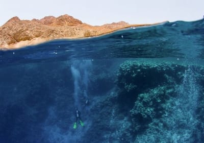 Snorkel & Camel Ride In Dahab From Sharm El Sheikh 2