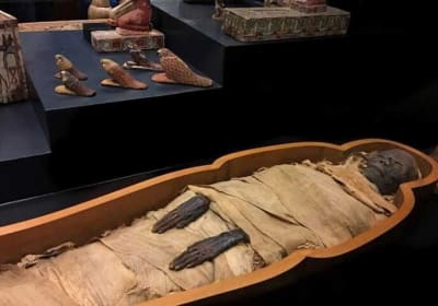 Half Day Tour Visit Luxor And Mummifications Museums 2