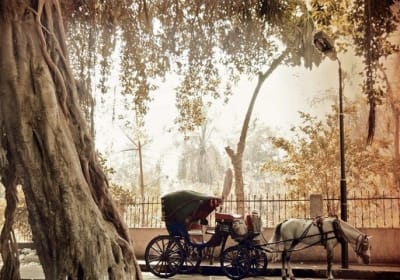 4-Hour Walking and Horse Carriage City Tour of Cairo 2