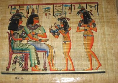 Papyrus Manufacturing Tour And Learn Papyrus making in Egypt 2