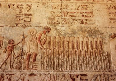 Private Day Tour to El Minya Egypt  2