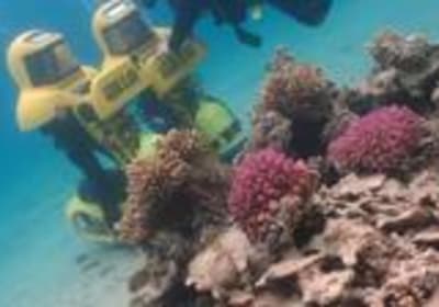 Aqua Star Diving 2