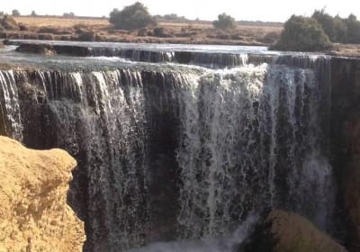 Valley of Whales and Wadi El Rayan Water Falls Day Tour from Cairo 2